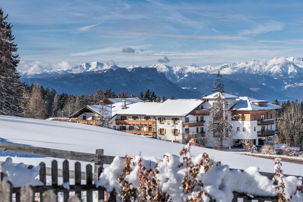 un bâtiment recouvert de neige avec des montagnes en arrière-plan dans l'établissement Hotel Peter, à Petersberg