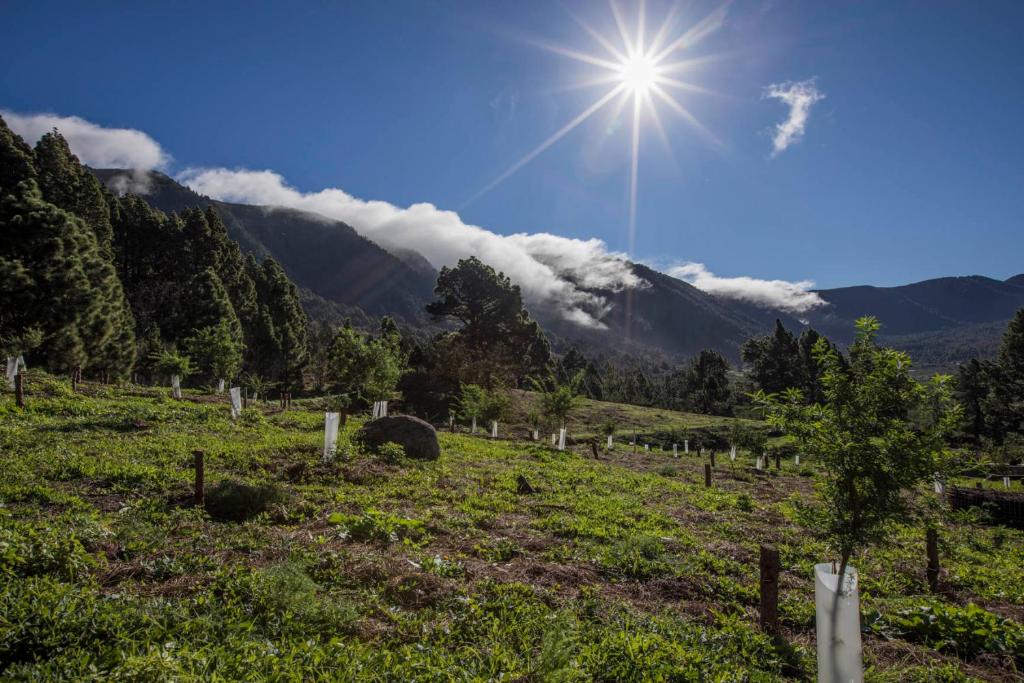 Φυσικό τοπίο κοντά σε αυτό το διαμέρισμα