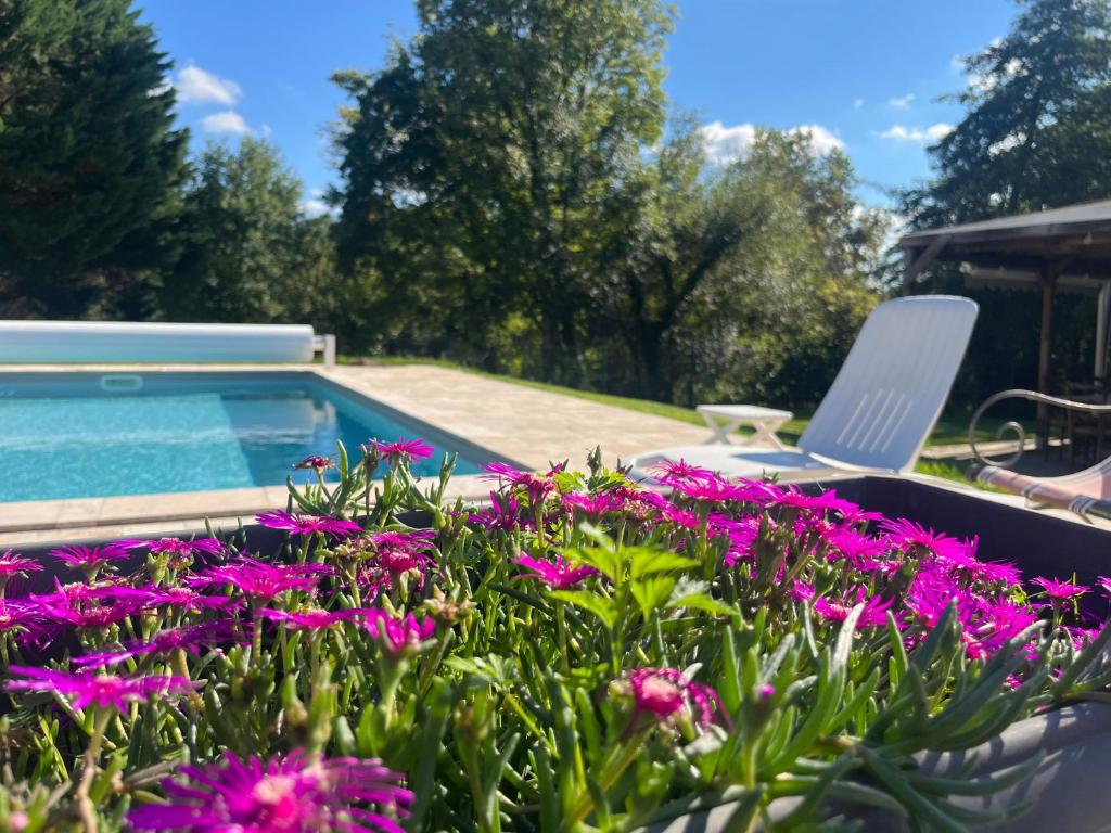 una piscina con fiori viola e una sedia di Maison à la campagne 4 à 6 personnes proche JONZAC a Boisredon