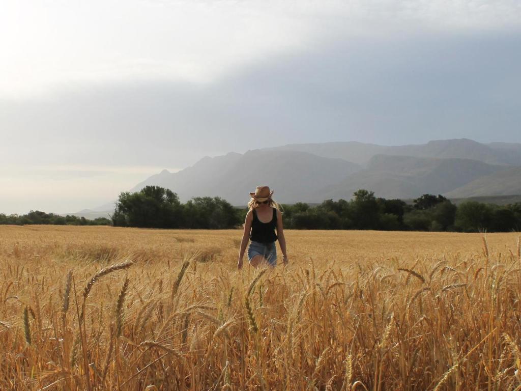une femme qui traverse un champ d'herbe haute dans l'établissement Bontebokskloof, à Swellendam