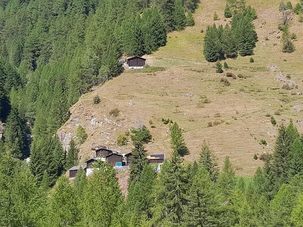 Photo de la galerie de l'établissement Saflischgarten, à Grengiols