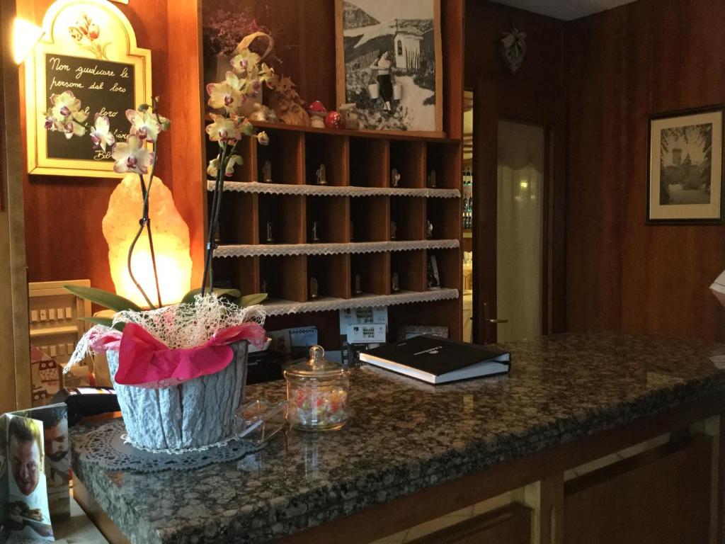 a counter top with a book and a shelf of wine bottles at Albergo Ciori in Asiago