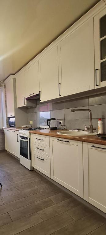 Velykohabarytni apartamenty v Tsentri main photo