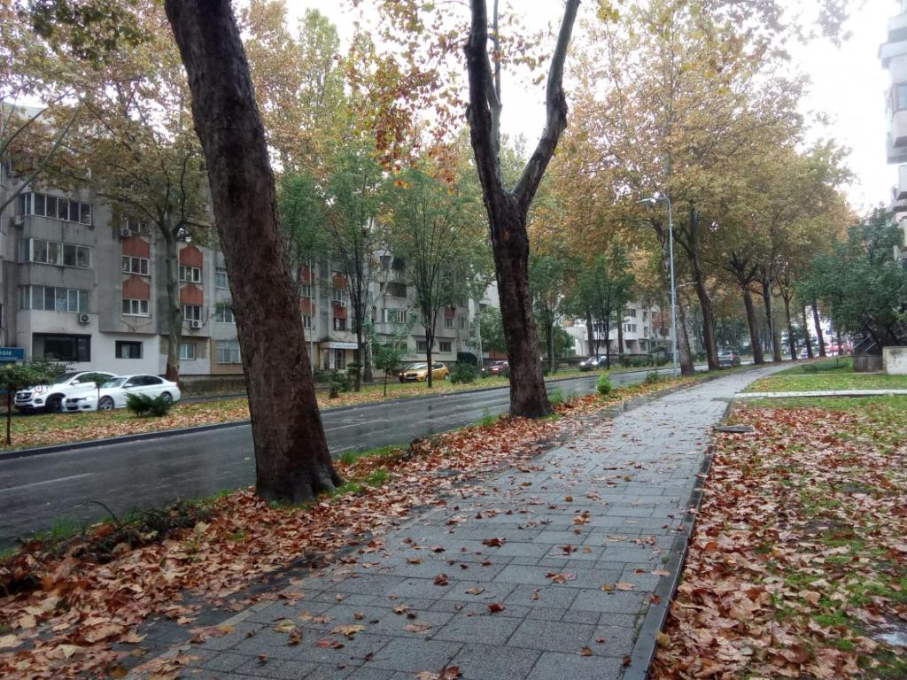 a street with trees and leaves on the sidewalk at 1BR Budget Apartment near Beach in Constanţa