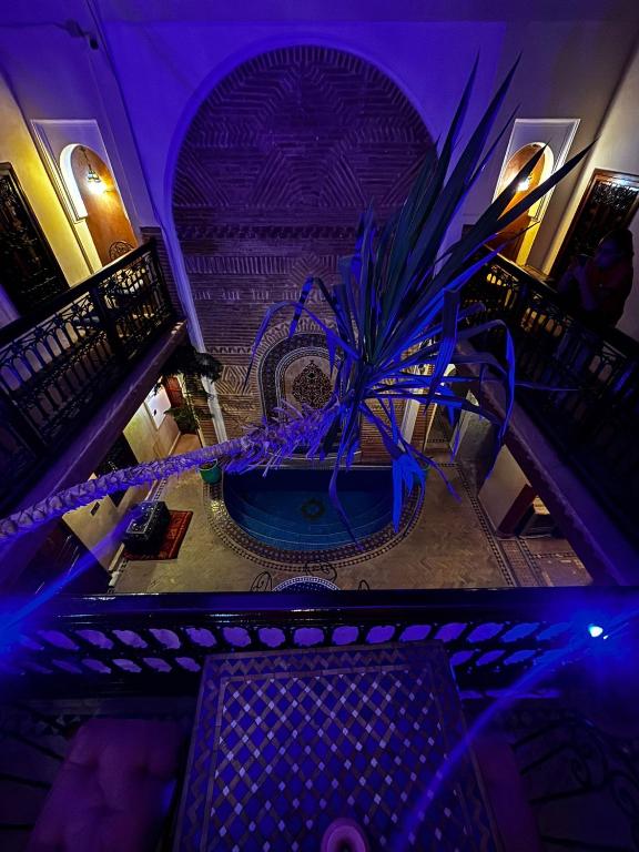 Una vista aérea de una planta en maceta con luces violetas. en Riad Bonheur, en Marrakech