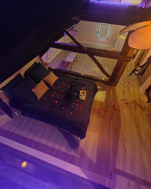 une vue aérienne d'un lit dans une chambre dans l'établissement LOVEROOM - Le pavillon des arômes, à Aiserey