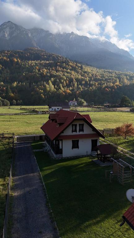 een huis met een rood dak in een veld bij Căsuțele Craiului in Zărneşti