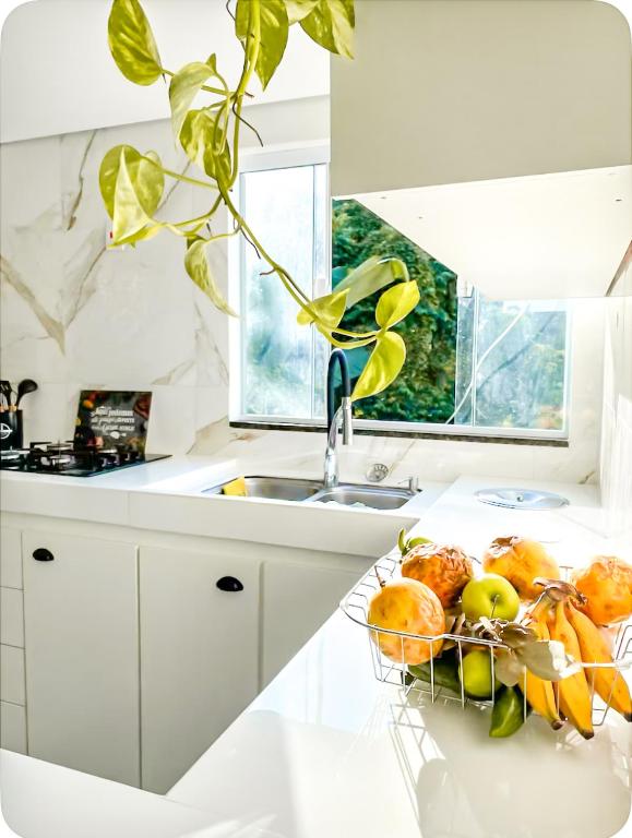 Kuchyň nebo kuchyňský kout v ubytování Loft Lumiere Vila do Abraão Ilha Grande