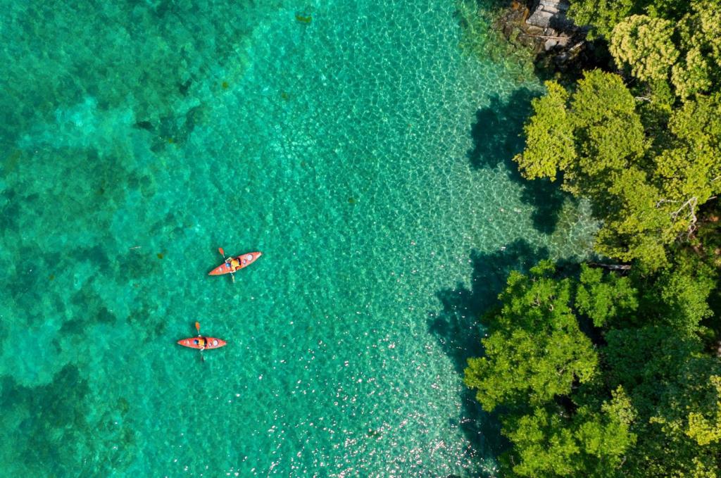 two kayaks in the water next to a forest at Chalet 35m2 3 chambres in Sciez