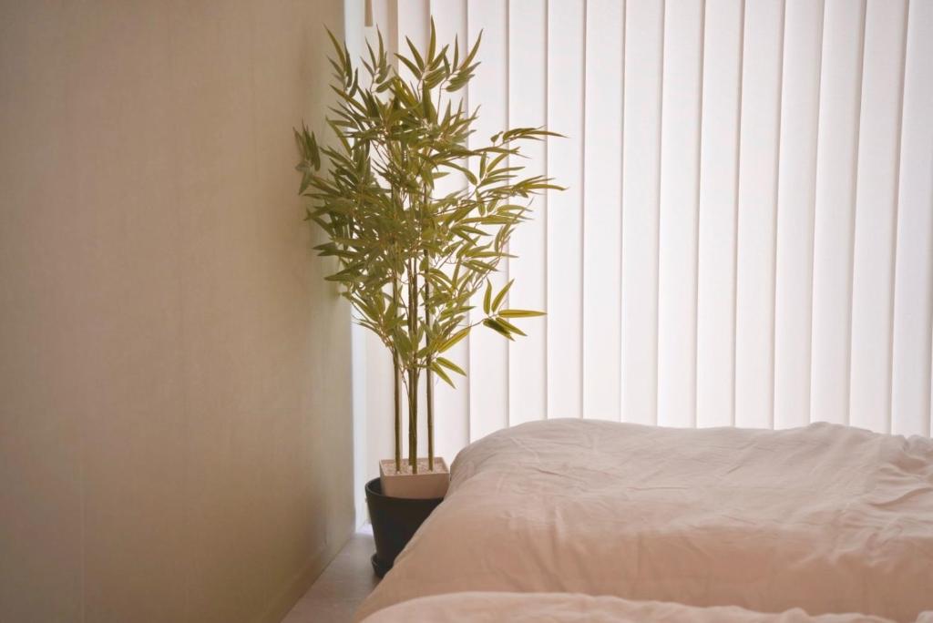 LANDMARK NAMBA EBISUCHO - Vacation STAY 20588