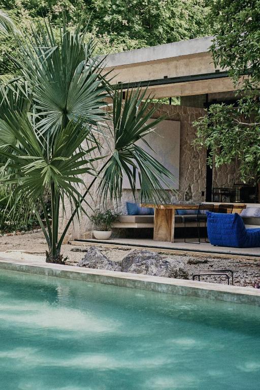 a swimming pool with a table and palm trees at Casa M in Macario Gomez