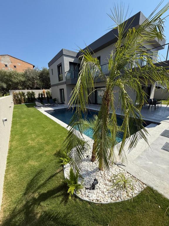 a palm tree in front of a house at Vip lüks Odalar banyo ve klimalı in Cesme