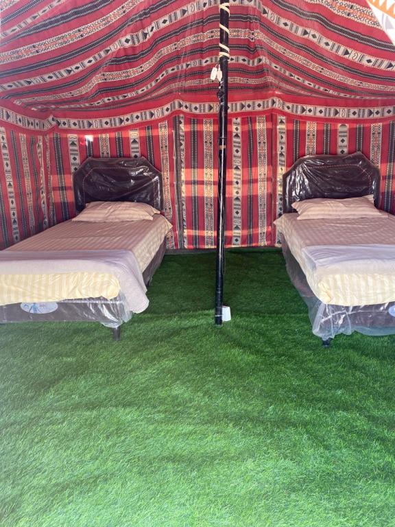 Stars camp, Al Raka (updated prices 2025)