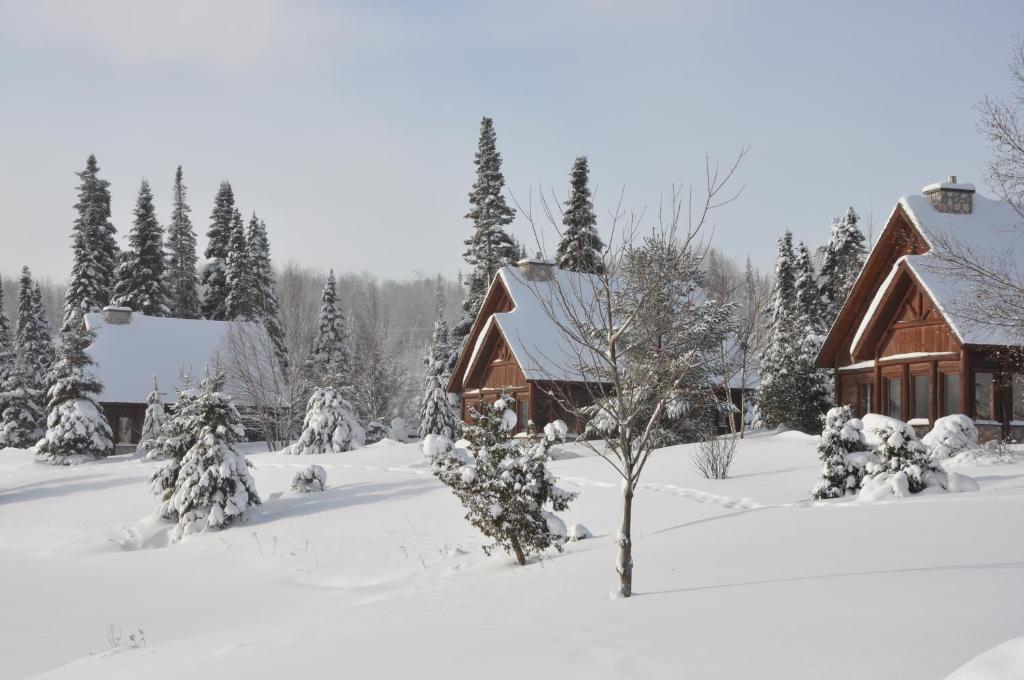 a cabin covered in snow with trees in the background at Royal Laurentien in Mont-Blanc