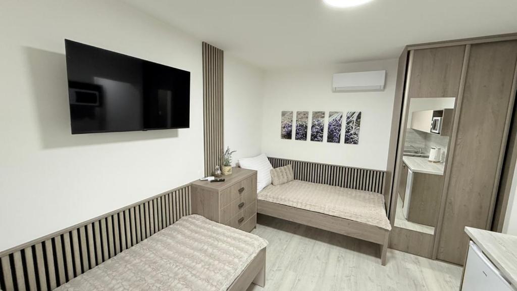 Μια τηλεόραση ή/και κέντρο ψυχαγωγίας στο Apartmány Perfect Home
