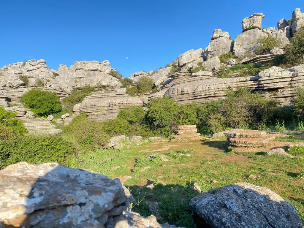 Naturlandskabet i nærheden af lejligheden