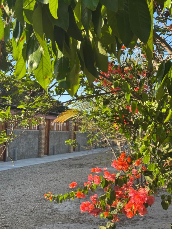 Κήπος έξω από το Hotel Fazenda Alta Vista