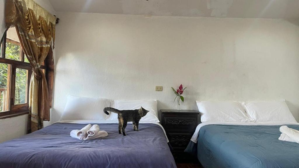 ELOA Atitlán - Habitación Familiar Con Baño Compartido