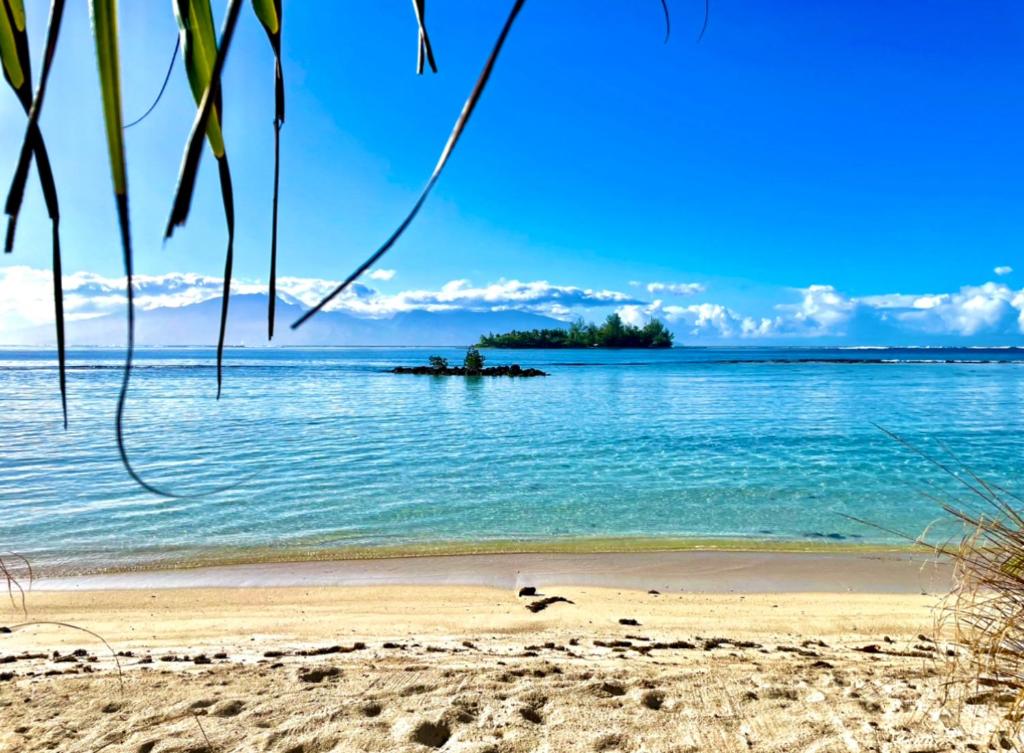 Marū Beach House - photo 11 - Moorea, Polynésie