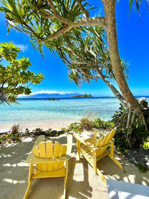 Marū Beach House - photo 5 - Moorea, Polynésie