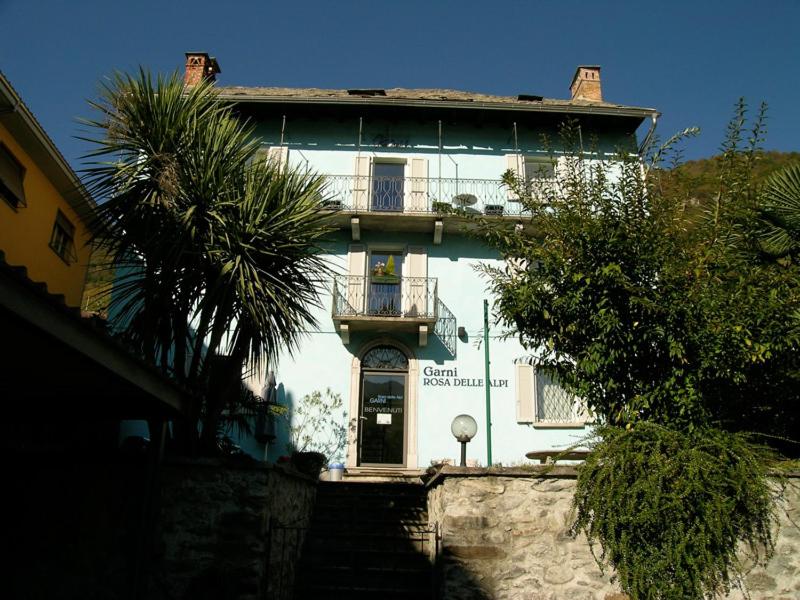 un edificio bianco con balcone e palma di Garni Rosa Delle Alpi a Gordola