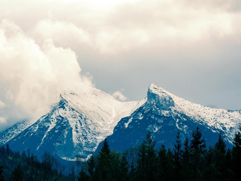 Willa Pod Górską Lawendą - 17