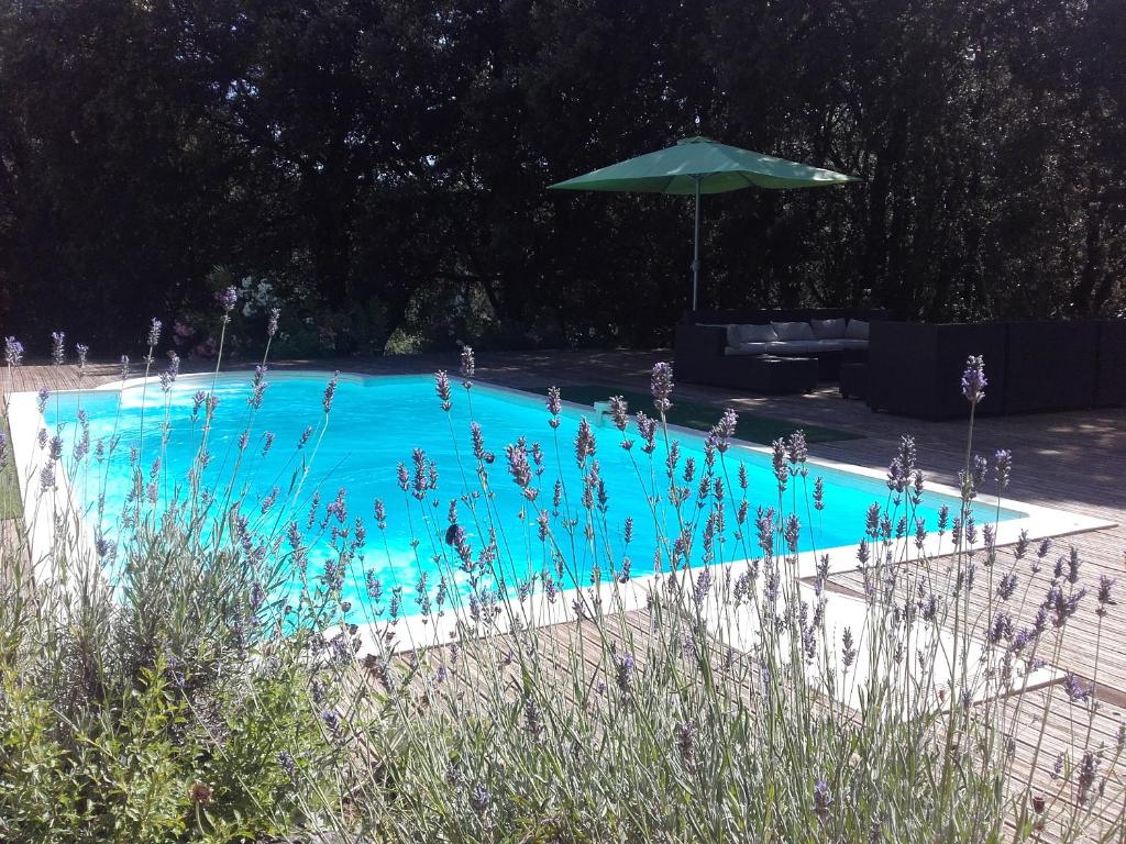 Gites San Austinu - Double Room With Park View