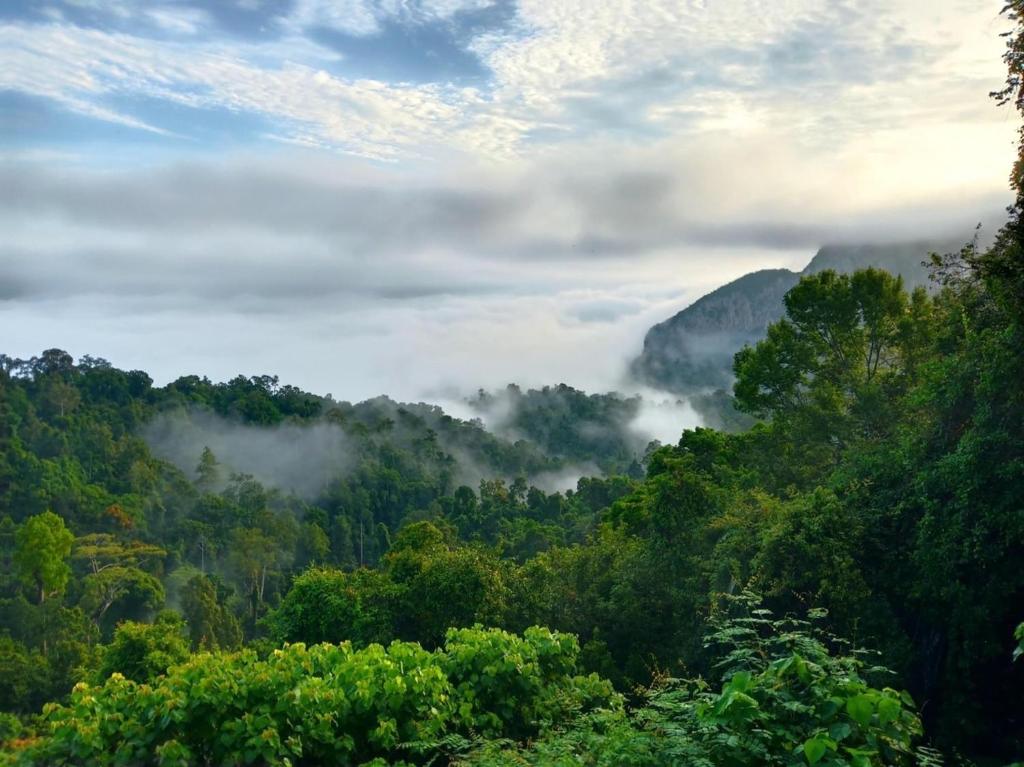 a misty valley in the mountains with trees at Modern Tor Tao camp in Ban Pak Suat