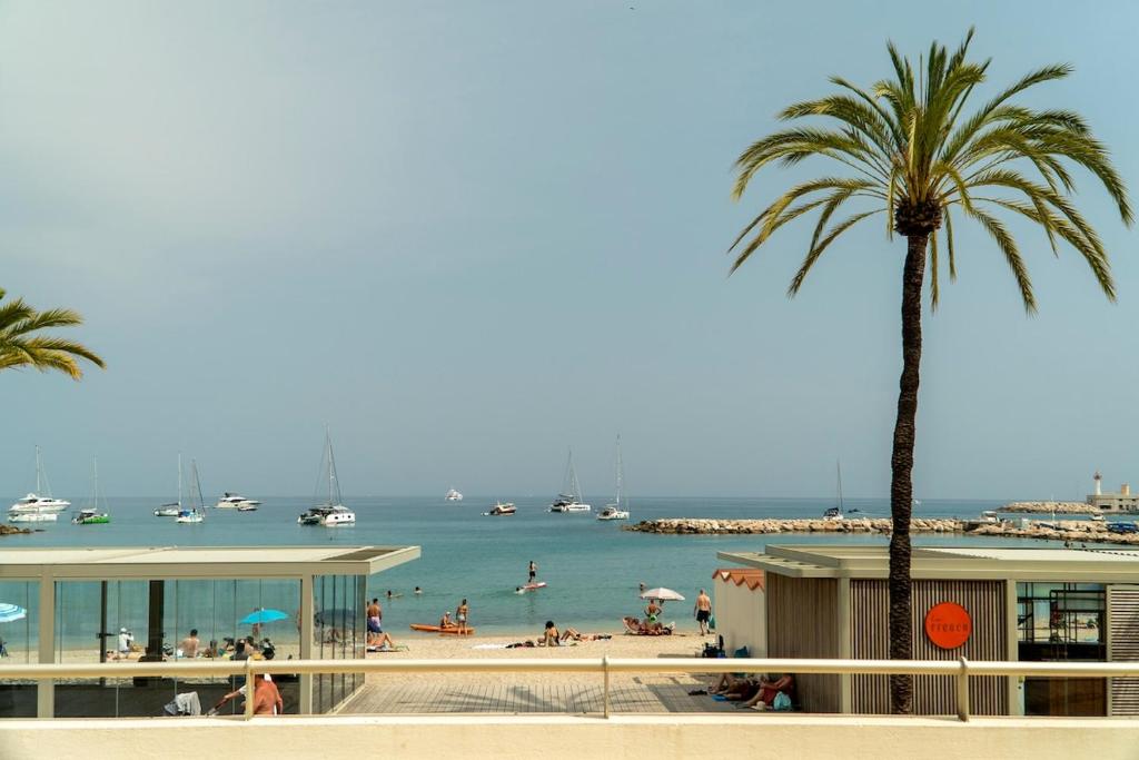 a beach with a palm tree and people in the water at Le Coq Franciosy - AC - WiFi - New - Sea in Menton