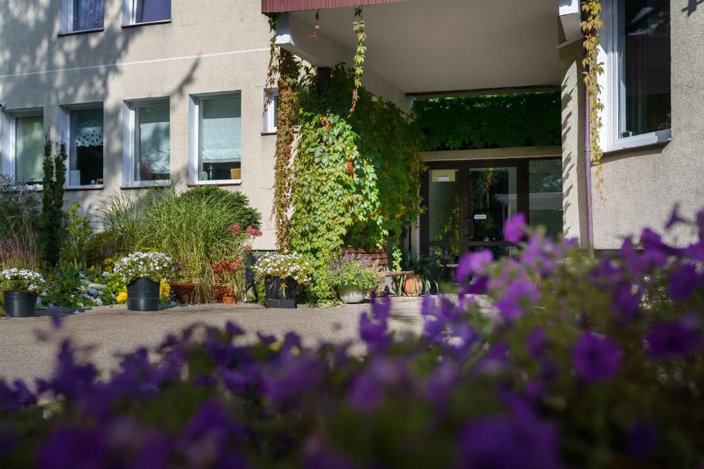 a house with purple flowers in front of it at Krechowiak in Augustów