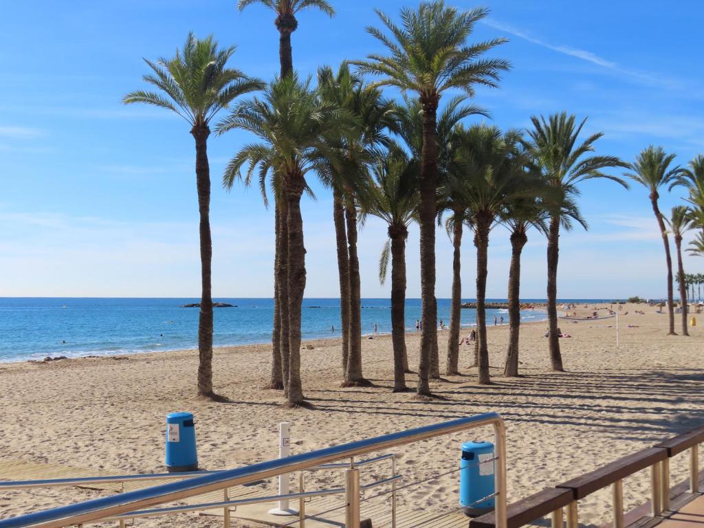 a row of palm trees on the beach at Pizarro Apartment in Villajoyosa