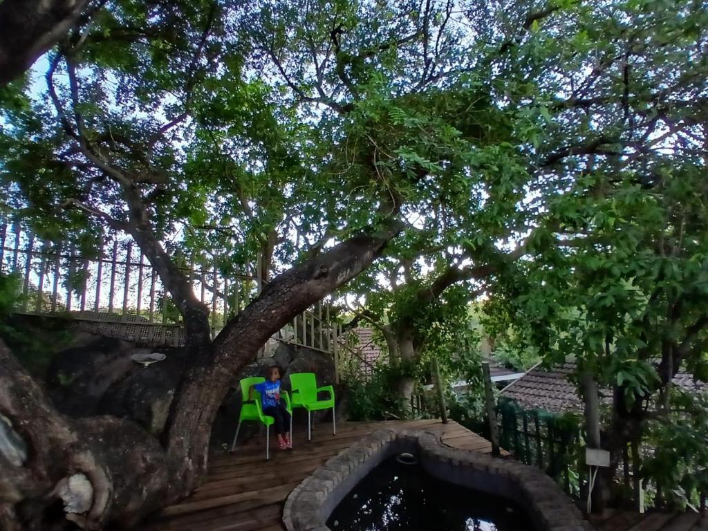 a woman sitting on a deck under a tree at Manganese Luxury Stay in Nelspruit