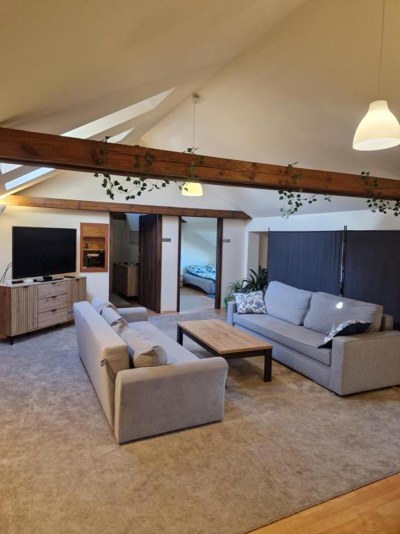 a living room with two couches and a tv at Noclegi Opole-Chmielowice Apartament C in Opole