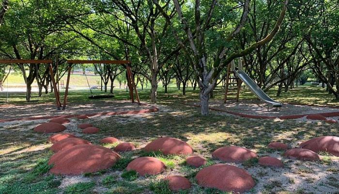 Κήπος έξω από το Aromas do Vouga