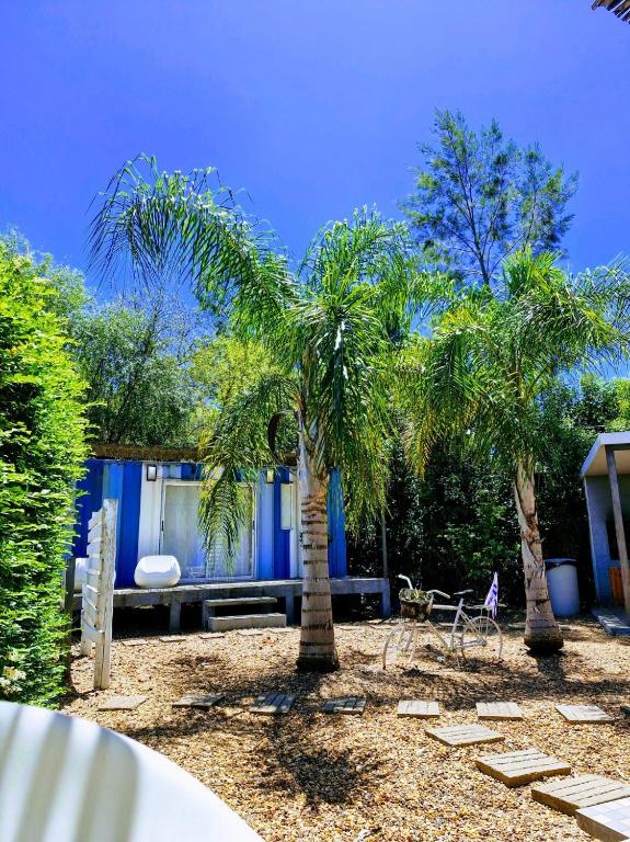 Squania Suite Container & Monoambientes