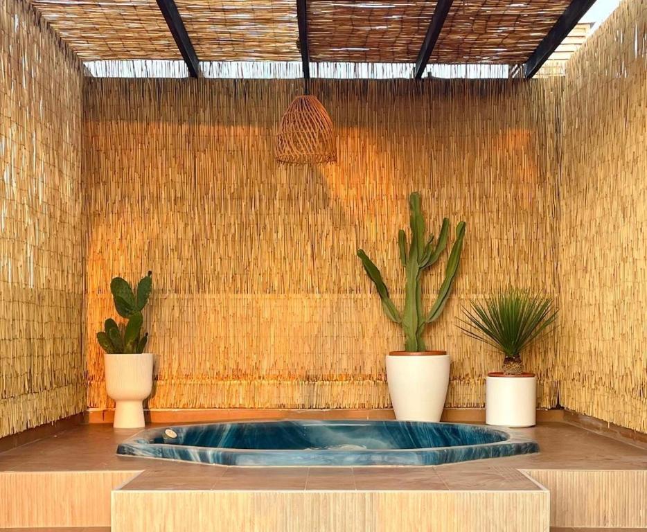 Fotografie z fotogalerie ubytování TrendyHomes Laguna Beach v destinaci Vera