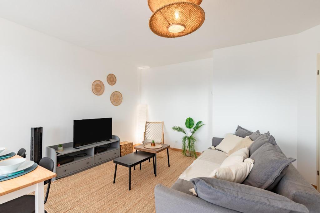 ein Wohnzimmer mit Sofa und Fernseher in der Unterkunft Charming T2 in Frouzins in Frouzins