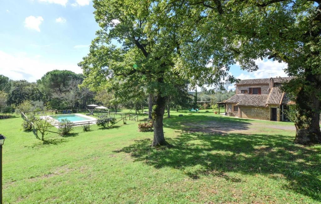 une cour avec une maison, un arbre et une piscine dans l'établissement Maurizia, à Bagnoregio