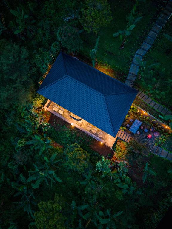 an overhead view of a blue umbrella at night at Wanagiri Reserve in Gitgit