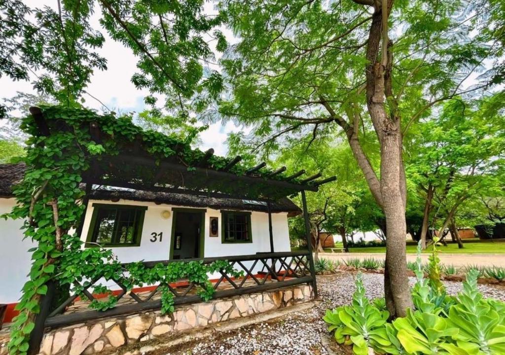 ルンドゥにあるNgandu Hotel - Runduの木の目の前の小さな白い家