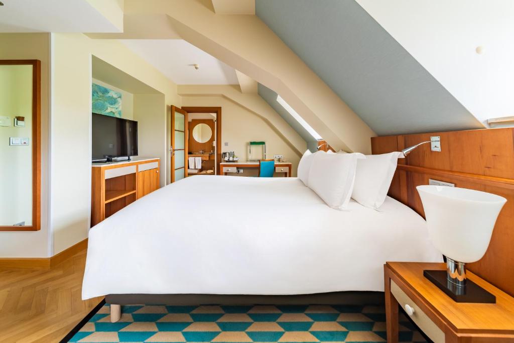 
Classic Attic Double Room - Park Side
