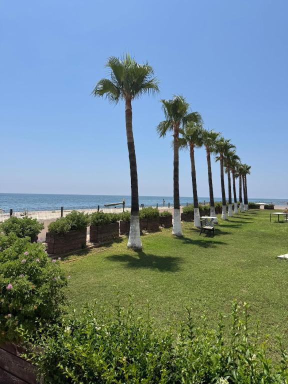 a row of palm trees on the beach at Villa Martin Mersin in Mezitli
