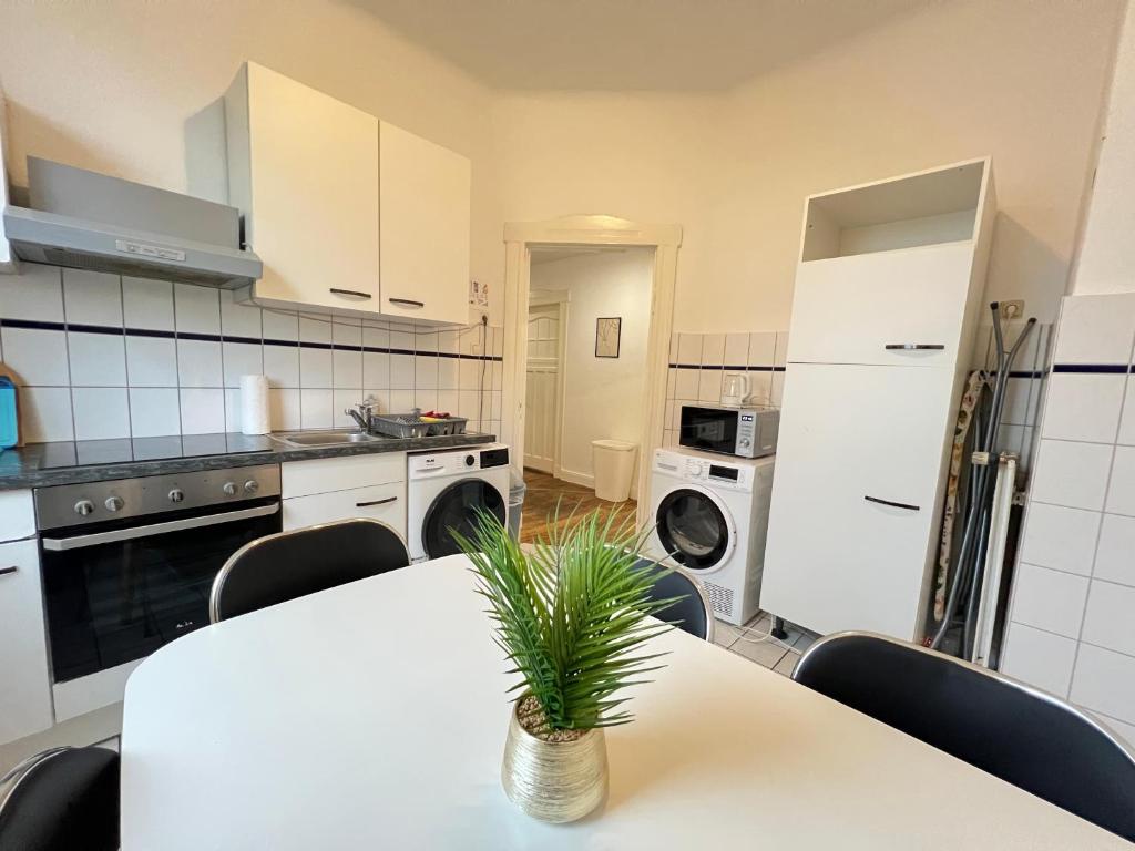 a kitchen with a table with a plant on it at Zentrale Monteurwohnung Neumünster mit Küche & WLAN in Neumünster