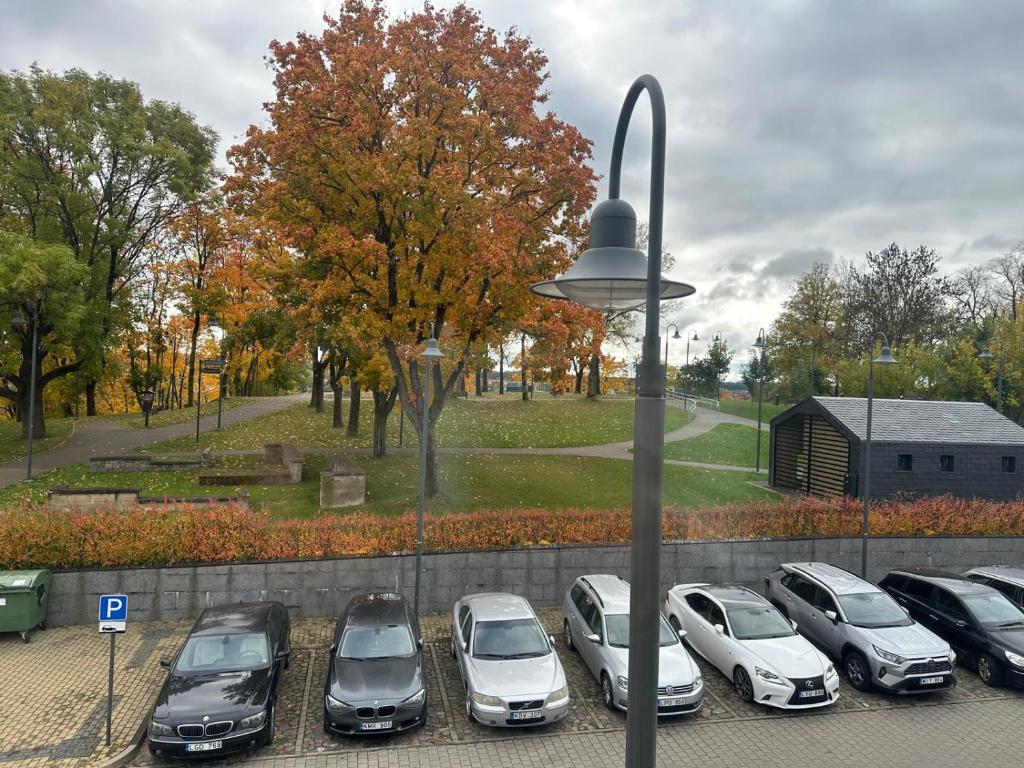 een groep auto's geparkeerd op een parkeerplaats bij Crown Apartment Park View in Ukmergė