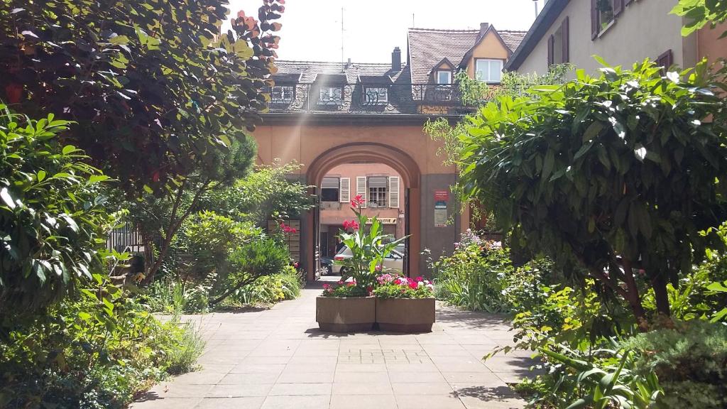 Commanderie Cottage Colmar – photo 10