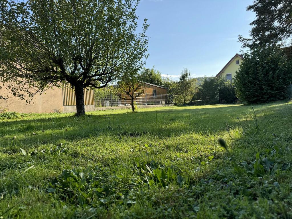 Zahrada ubytování Ferienhaus Ailsbach