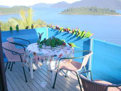 Coral Point Lodge, Shute Harbour – Updated 2023 Prices