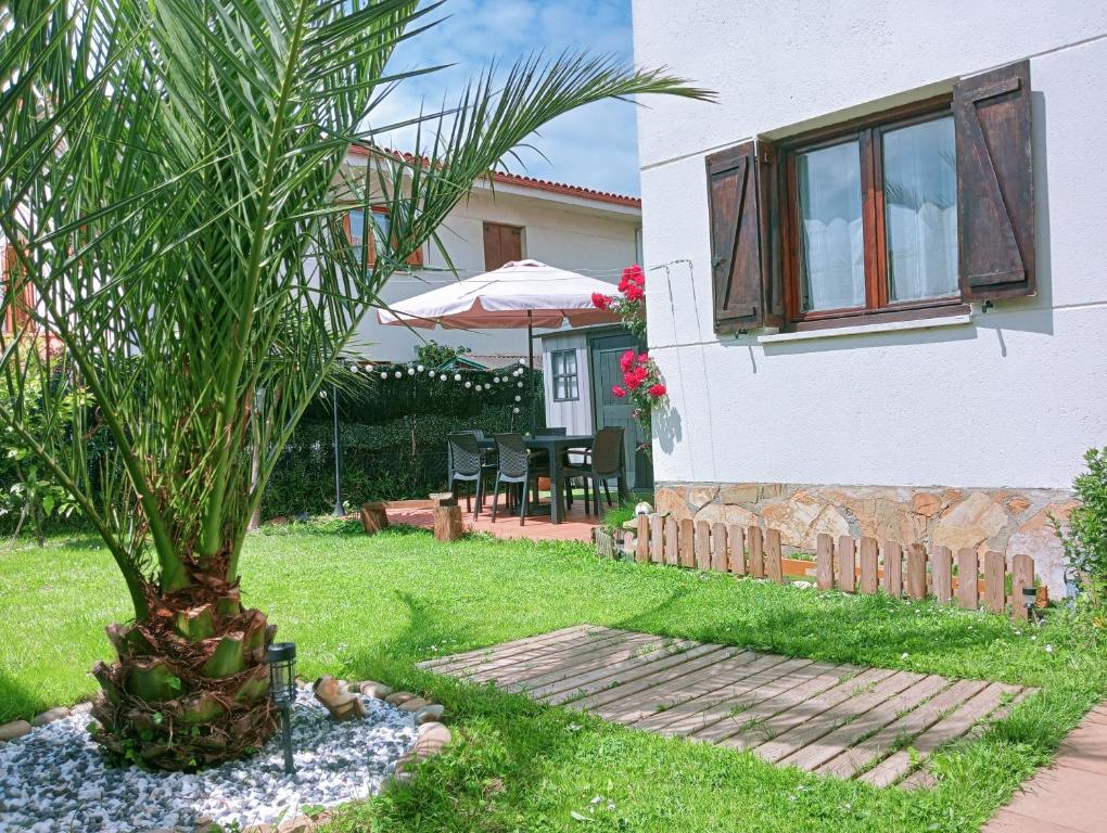 a palm tree in the yard of a house at Chalet adosado entre playas in Argoños