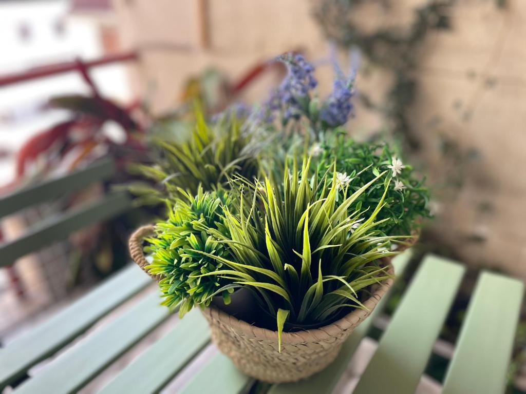 Atico Cué, Parking gratuito - 1