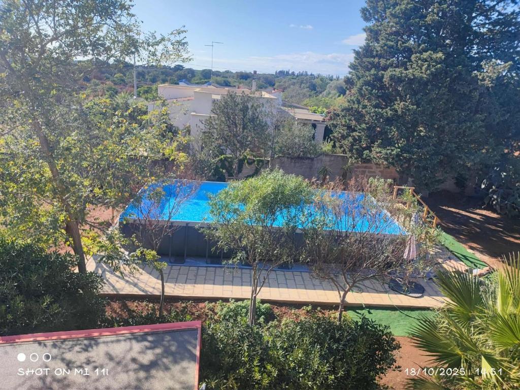 an overhead view of a swimming pool in a garden at Villa Mary in San Pietro in Bevagna
